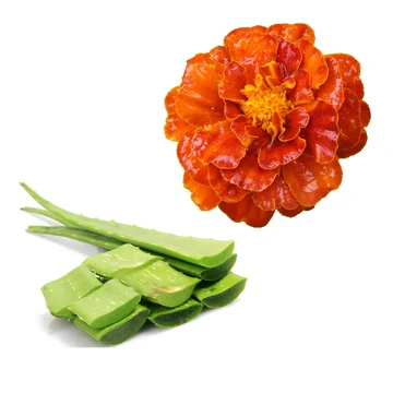 Caléndula + aloe vera