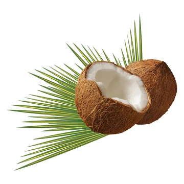 Aceite de coco